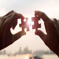 Consultation and Partnership